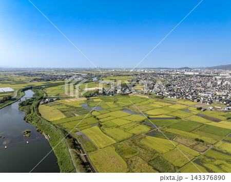 ドローン撮影した遠方に久留米市を望む小郡市の宝満川と田園風景 ドローン撮影した遠方に久留米市を望む小郡市の宝満川と田園風景 143376890