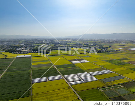 ドローン撮影した小郡市の田園風景と耳納連山の風景 ドローン撮影した小郡市の田園風景と耳納連山の風景 143376893