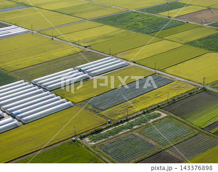 ドローン空撮で見る田園風景 143376898