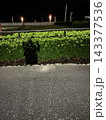 夜の公園の植込みに落ちる人の影 143377536