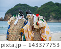 神々が舞う石見神楽『岩戸』 143377753