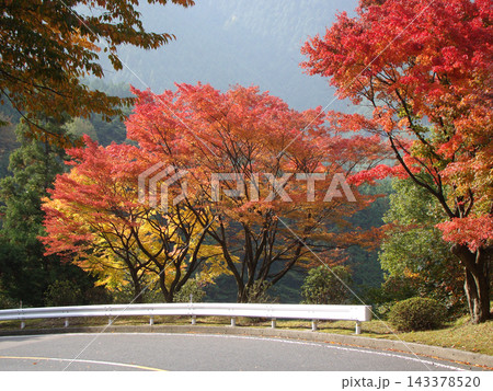 比叡山ドライブウエイ 比叡山ドライブウエイ 143378520