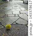 秋。雨上がりの石畳 143378617