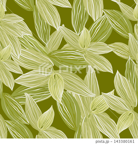 Green leaves of Tradescantia Green leaves of Tradescantia 143380161