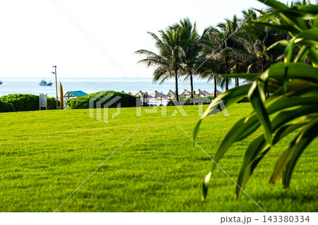 A Scenic View of Lush Green Grass with Palm Trees Overlooking a Peaceful Beach and Calm Ocean Waters in Bright Daylight. A Scenic View of Lush Green Grass with Palm Trees Overlooking a Peaceful Beach and Calm Ocean Waters in Bright Daylight. 143380334