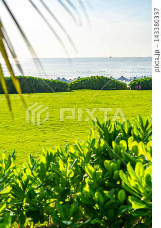 Lush Green Landscape Overlooking Calm Ocean Waters with a Clear Sky and Gentle Breeze Captured in a Tranquil Setting. Lush Green Landscape Overlooking Calm Ocean Waters with a Clear Sky and Gentle Breeze Captured in a Tranquil Setting. 143380337