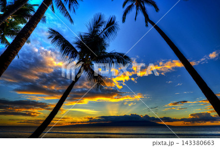 coconut tree on the beach and sea at sunset coconut tree on the beach and sea at sunset 143380663