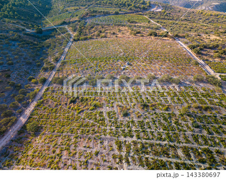 Croatia vineyards spread over rugged slopes in neat planted rows, bordered by sparse trees and pale tracks. Vineyard terrain offers detailed aerial view of rural Croatian agriculture. Croatia vineyards spread over rugged slopes in neat planted rows, bordered by sparse trees and pale tracks. Vineyard terrain offers detailed aerial view of rural Croatian agriculture. 143380697