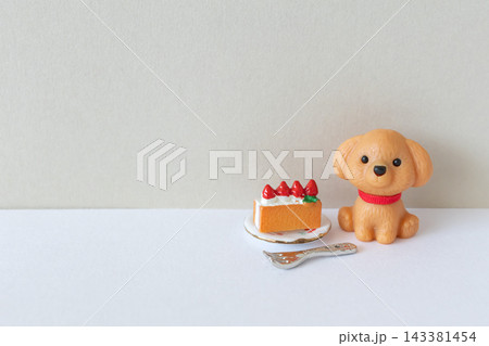 犬とケーキ　犬のおやつイメージ素材 143381454