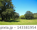 高知県四万十市 入田河川敷の風景 高知県四万十市 入田河川敷の風景 143381954