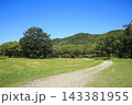 高知県四万十市 入田河川敷の風景 高知県四万十市 入田河川敷の風景 143381955