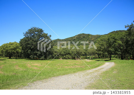 高知県四万十市　入田河川敷の風景 143381955