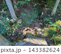 油山で新鮮な自然 143382624