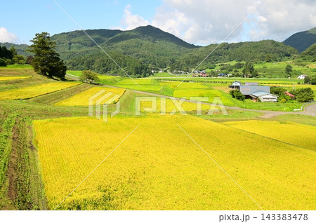 宮守の棚田 宮守の棚田 143383478