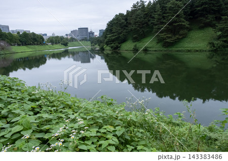 雨の日の静寂に包まれた皇居お堀と周辺の風景 雨の日の静寂に包まれた皇居お堀と周辺の風景 143383486