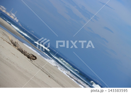【宮城県_荒浜海岸】白い砂浜と青い海と夏空の景色 143383595