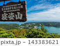 寝姿山(下田ロープウェイ)からの下田港眺望(下田市-静岡県) 143383621