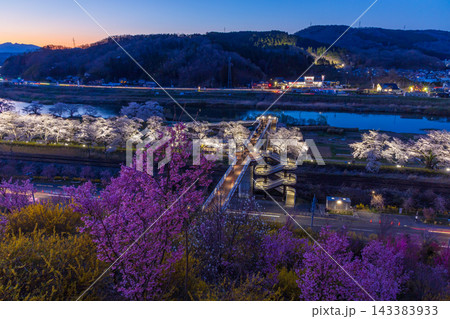 春の宮城県 日本さくら名所100選 白石川堤一目千本桜 夜桜ライトアップ 春の宮城県 日本さくら名所100選 白石川堤一目千本桜 夜桜ライトアップ 143383933