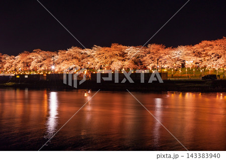 春の宮城県 日本さくら名所100選 白石川堤一目千本桜 夜桜ライトアップ 春の宮城県 日本さくら名所100選 白石川堤一目千本桜 夜桜ライトアップ 143383940