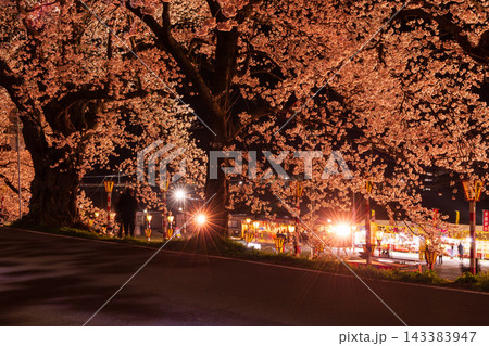 春の宮城県 日本さくら名所100選 白石川堤一目千本桜 夜桜ライトアップ 春の宮城県 日本さくら名所100選 白石川堤一目千本桜 夜桜ライトアップ 143383947