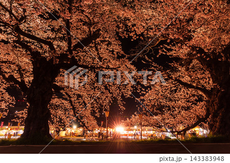 春の宮城県 日本さくら名所100選 白石川堤一目千本桜 夜桜ライトアップ 春の宮城県 日本さくら名所100選 白石川堤一目千本桜 夜桜ライトアップ 143383948