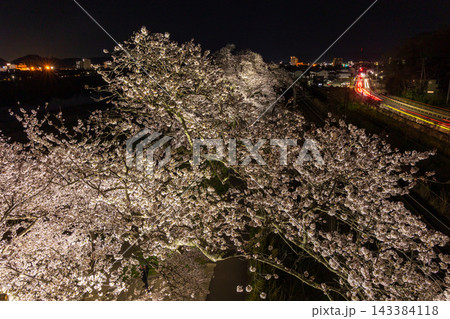 春の宮城県 日本さくら名所100選 白石川堤一目千本桜 夜桜ライトアップ 春の宮城県 日本さくら名所100選 白石川堤一目千本桜 夜桜ライトアップ 143384118