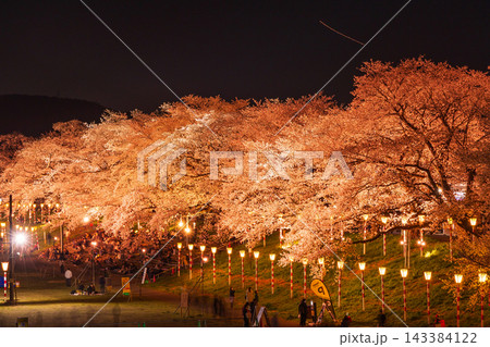 春の宮城県 日本さくら名所100選 白石川堤一目千本桜 夜桜ライトアップ 春の宮城県 日本さくら名所100選 白石川堤一目千本桜 夜桜ライトアップ 143384122