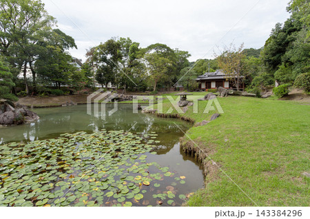 睡蓮の池と茶室を望む旧島津氏玉里邸庭園の風景 143384296