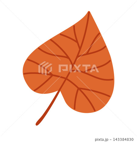 Orange Linden Leaf Isolated Vector Element Flat Style Icon 143384830