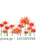 彼岸花 143385098
