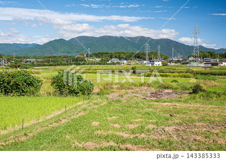湖西地方の田園風景 滋賀県大津市 湖西地方の田園風景 滋賀県大津市 143385333