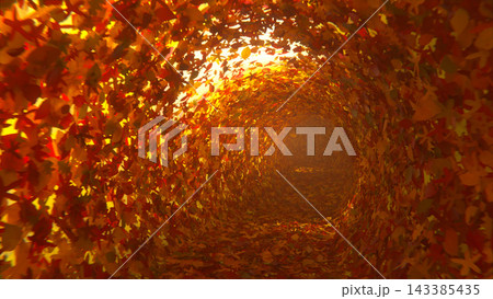 3D render of a tunnel made of red, orange and yellow autumn leaves with warm sunlight shining through, a cozy fall season background. 3D render of a tunnel made of red, orange and yellow autumn leaves with warm sunlight shining through, a cozy fall season background. 143385435