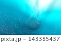 3D render of a swirling turquoise underwater tunnel with glowing caustic light patterns on the walls and bright sunlight from above, abstract aqua background. 143385437