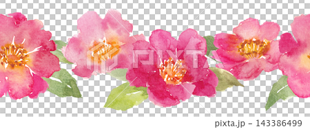 Watercolor Camellia Line Art Watercolor Camellia Line Art 143386499