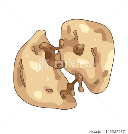 Illustration of soft cookie Illustration of soft cookie 143387987