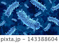 Bacterium Yersinia Pestis 143388604