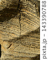 Sectional sedimentary rocks texture or background. 143390788