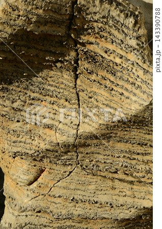 Sectional sedimentary rocks texture or background. 143390788