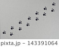 シンプルでおしゃれなネコのあしあとの列、ライン・ボーダーデザイン 143391064