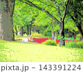 初秋の公園のベンチで休らう80代の夫婦（20260925131520） 143391224