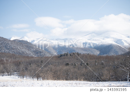 知床連山を望む雪原と冬の木々 知床連山を望む雪原と冬の木々 143391595