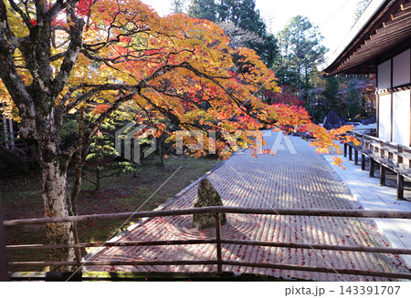 高野山お寺の紅葉 143391707