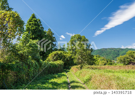 伊香立の田園風景　滋賀県大津市 143391718