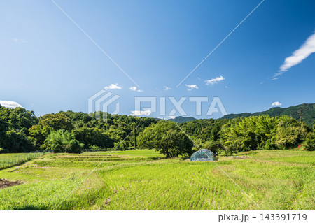 伊香立の田園風景 滋賀県大津市 伊香立の田園風景 滋賀県大津市 143391719