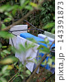 blue scarf tied with string in the grass 143391873