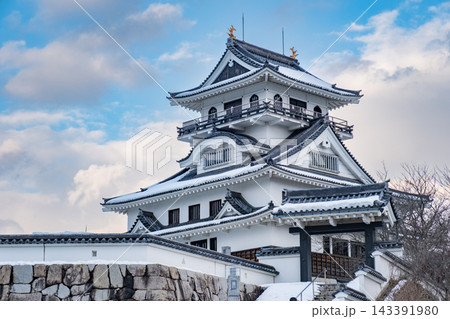 河原城 鳥取県鳥取市河原町 143391980