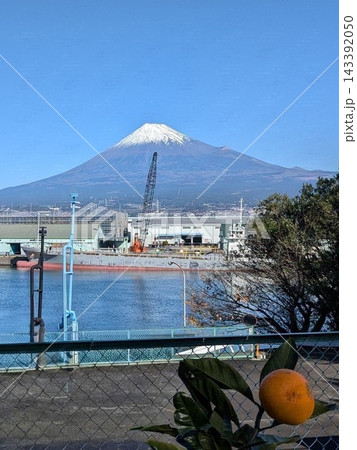 高台から望む富士山と港とミカン 143392050