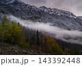 Serene mountain landscape showcases misty fog drifting across autumn forest and rugged rock peak in tranquil canada wilderness 143392448