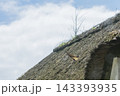 飛ぶツバメ_茅葺き屋根 143393935