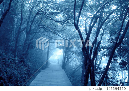 Road in misty forest on the top of Tianmen mountain, national park (Zhangjiajie), Hunan province, China. Mysterious forestland of Tianmen Mountain. Photo toned in blue color 143394320